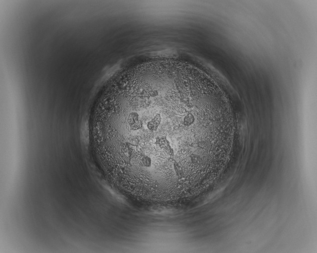 X0000112160729200908071137