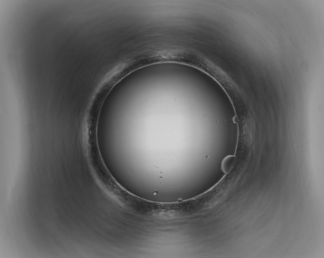 X0000112160730200908071137