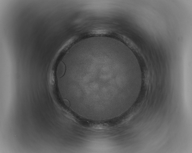 X0000112160731200908071137