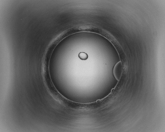 X0000112160732200908071137