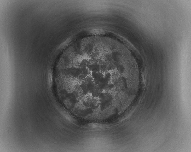 X0000112160733200908071137