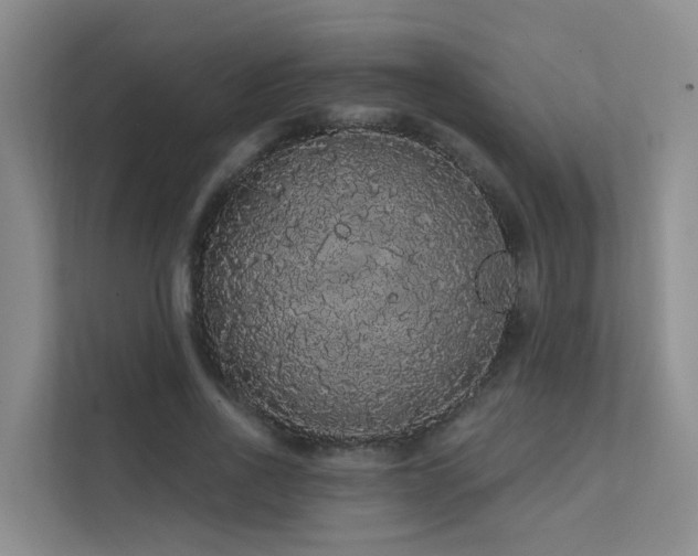 X0000112160734200908071138