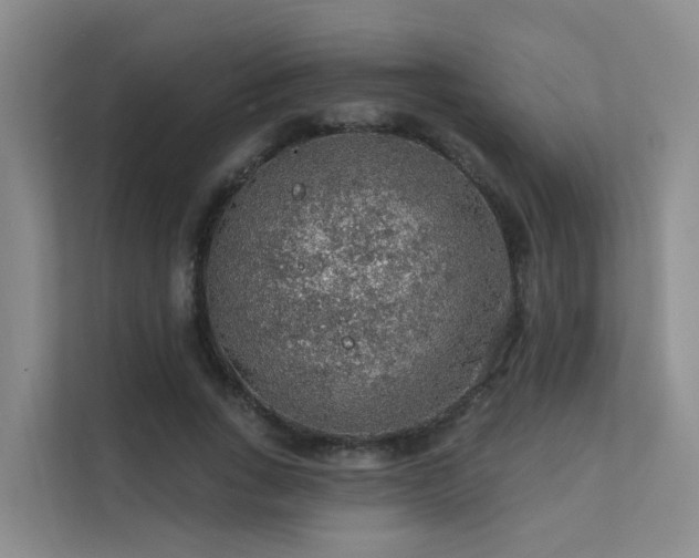 X0000112160735200908071138