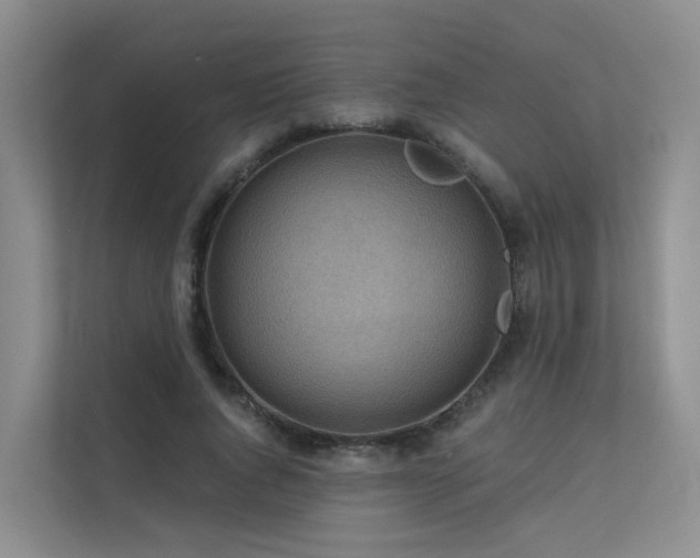 X0000112160736200908071138