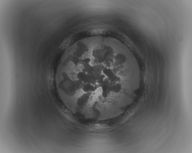 X0000112160737200908071138