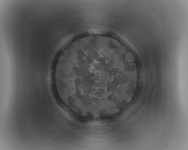 X0000112160738200908071138