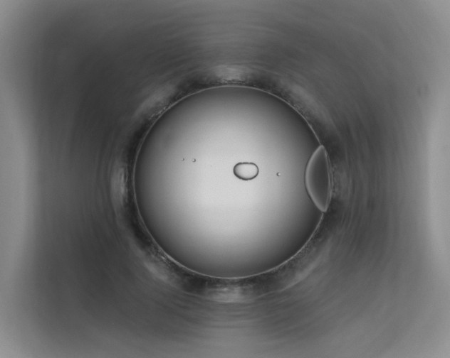 X0000112160740200908071138