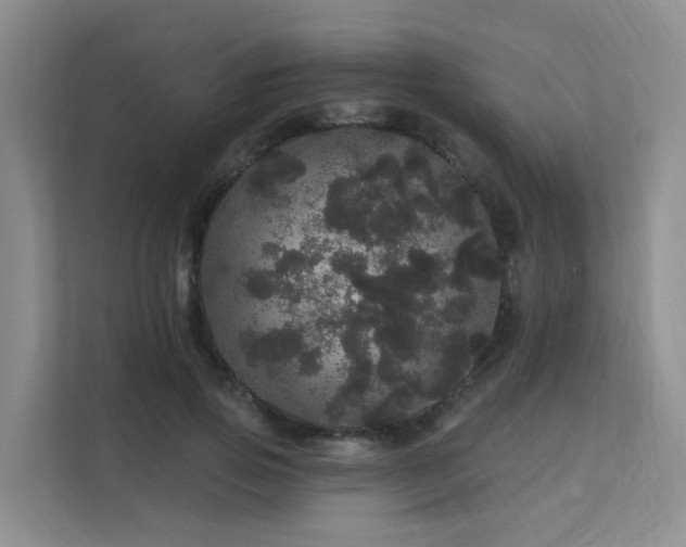 X0000112160741200908071138