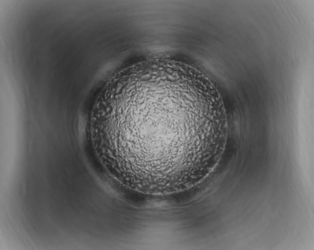 X0000112160742200908071138