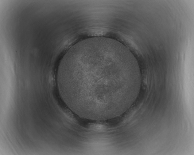 X0000112160743200908071138