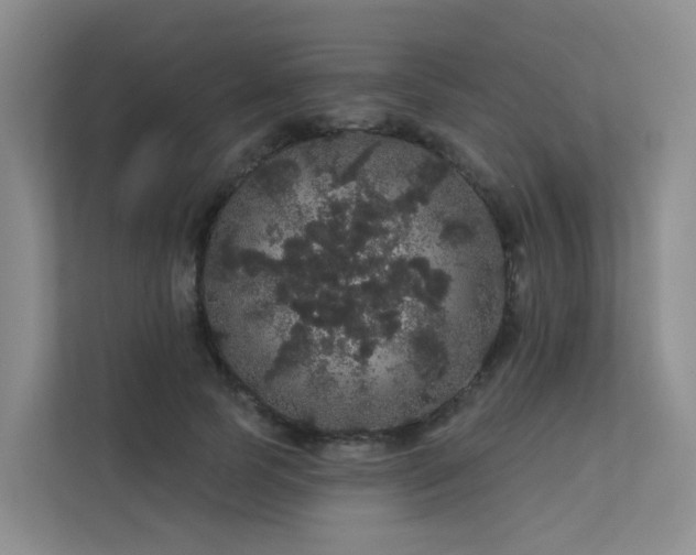 X0000112160745200908071138