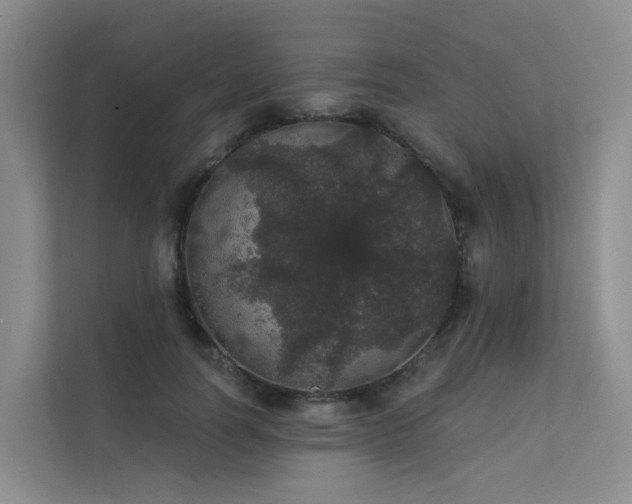 X0000112160746200908071138