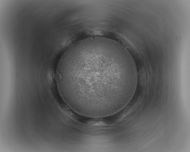 X0000112160747200908071138