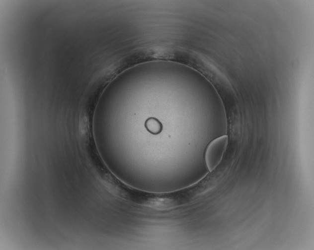 X0000112160748200908071138