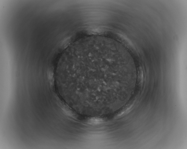 X0000112160749200908071138