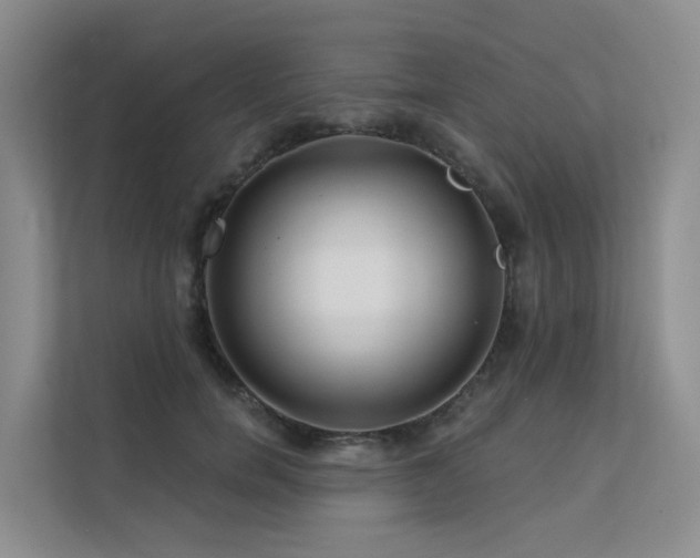 X0000112160750200908071138