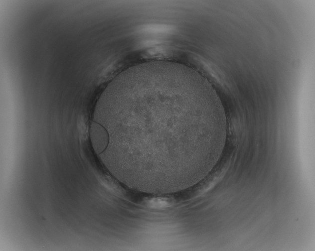 X0000112160751200908071138