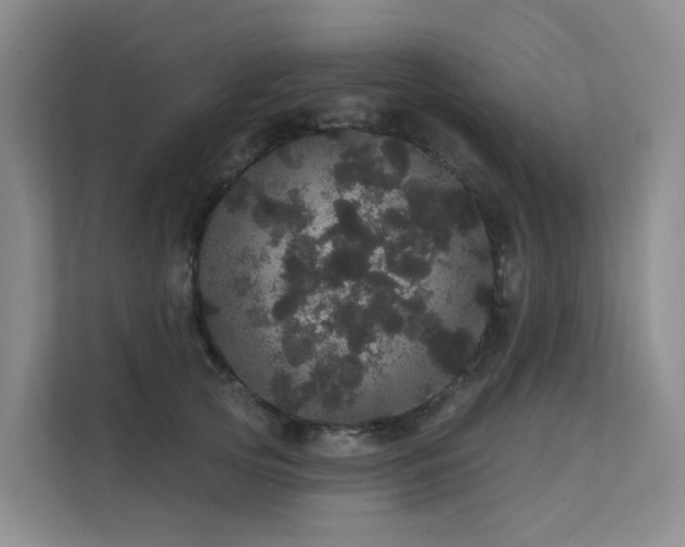 X0000112160753200908071138
