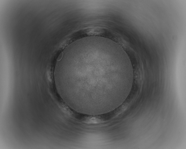 X0000112160755200908071138