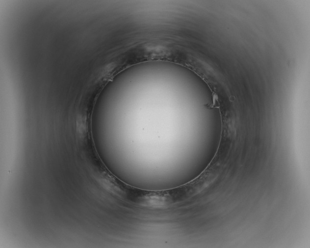 X0000112160756200908071138
