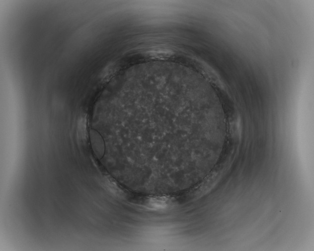 X0000112160757200908071138