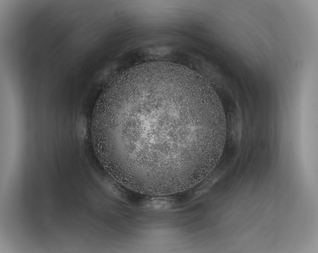 X0000112160758200908071138