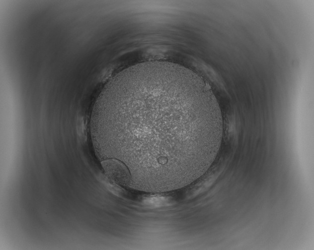 X0000112160759200908071138