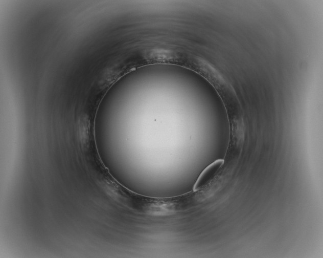 X0000112160760200908071138