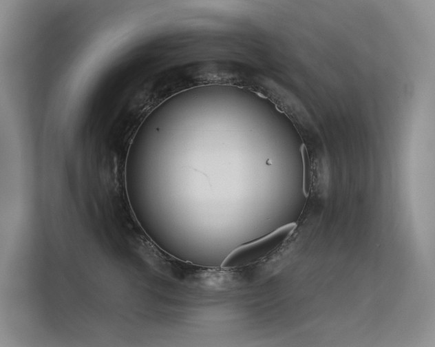X0000112160762200908071138