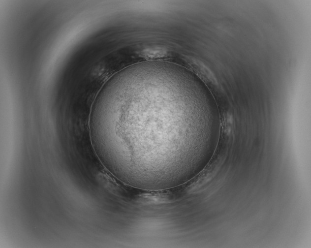 X0000112160763200908071138