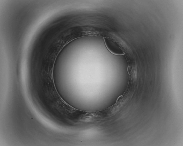 X0000112160764200908071138