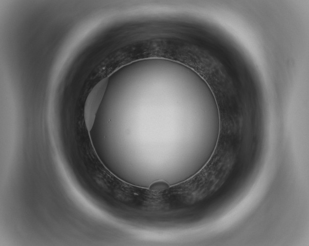 X0000112160766200908071138