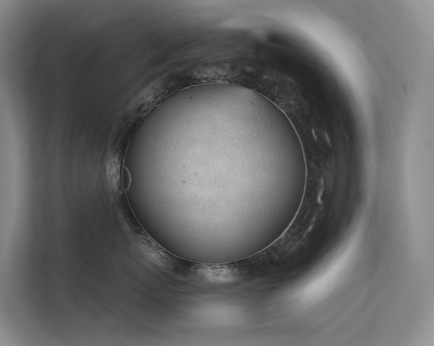X0000112160767200908071138