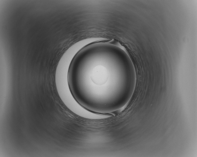 X0000112160768200908071138