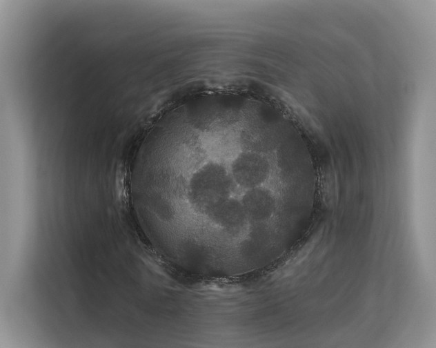 X0000112160770200908071137