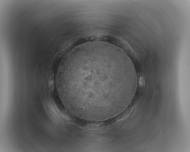 X0000112160771200908071137