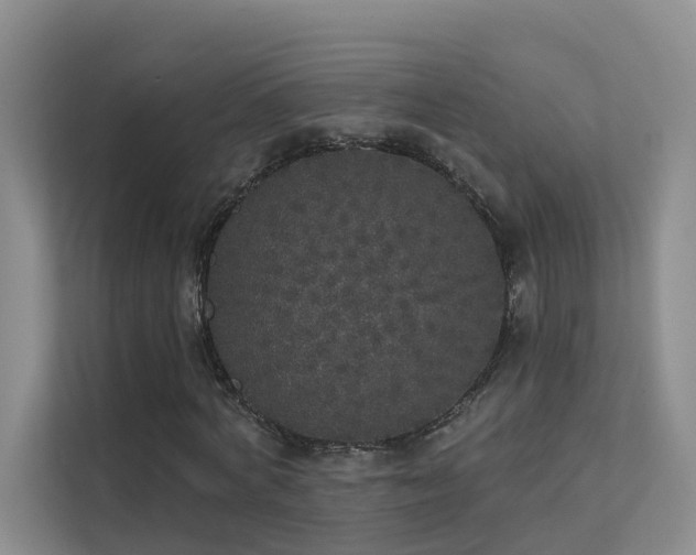 X0000112160772200908071137