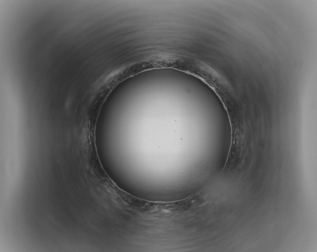 X0000112160773200908071137