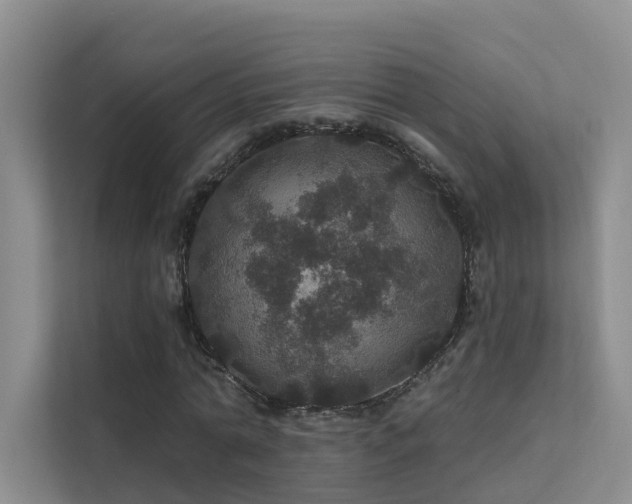 X0000112160774200908071137