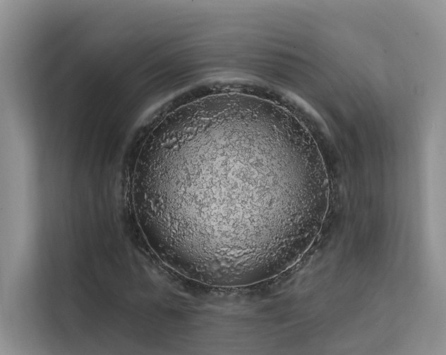 X0000112160775200908071137