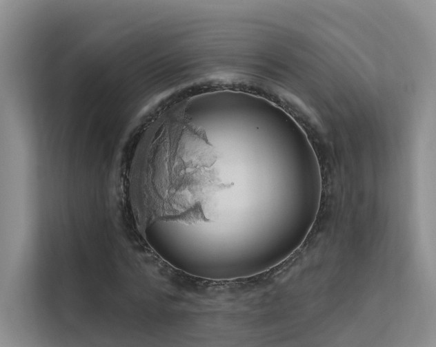 X0000112160776200908071137