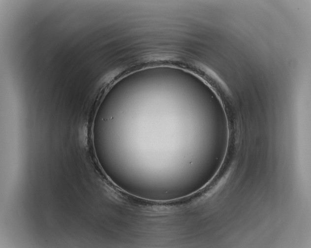 X0000112160777200908071137