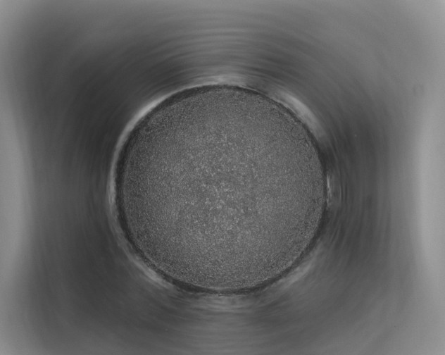 X0000112160780200908071137