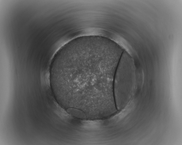 X0000112160781200908071137