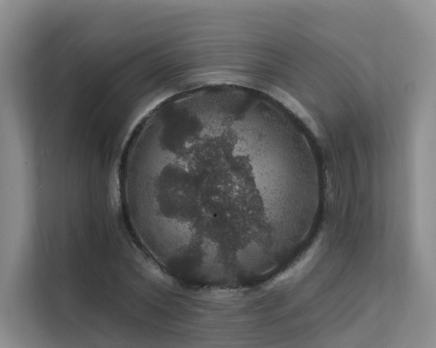 X0000112160782200908071137