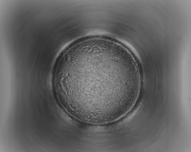X0000112160783200908071137