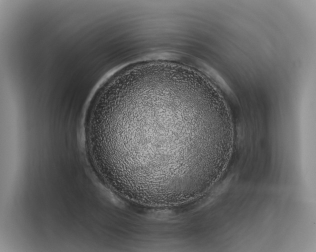 X0000112160784200908071137
