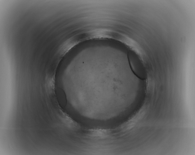 X0000112160785200908071137
