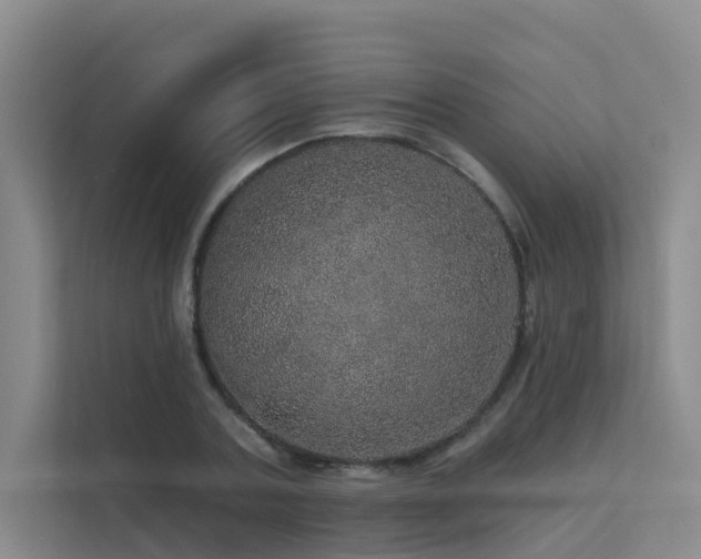X0000112160787200908071137