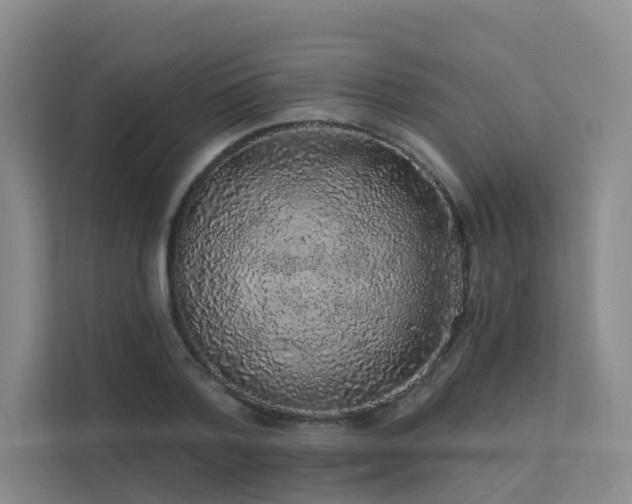 X0000112160788200908071137